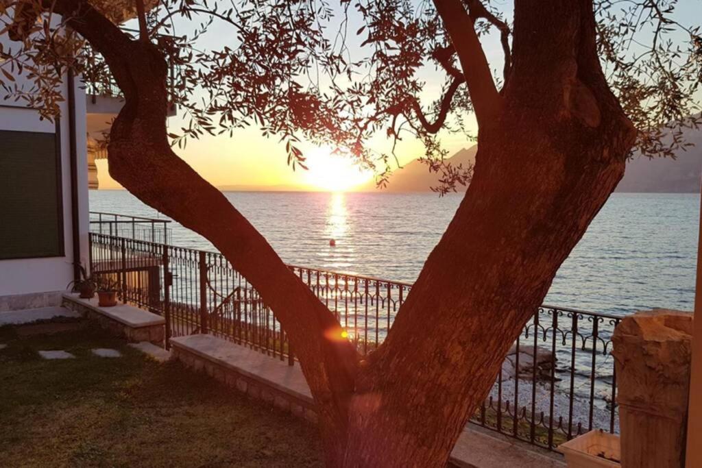 Villa Francesca-Grande Appartamento In Riva Al Lago 브렌조네 술 가르다 외부 사진