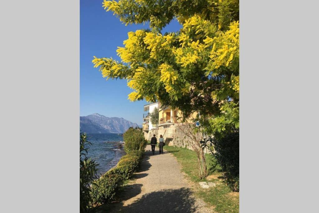 Villa Francesca-Grande Appartamento In Riva Al Lago 브렌조네 술 가르다 외부 사진